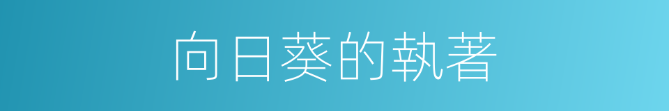 向日葵的執著的同義詞