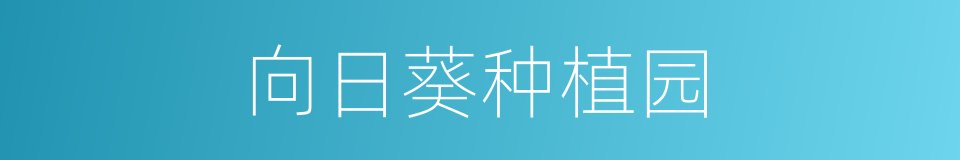 向日葵种植园的同义词