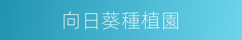 向日葵種植園的同義詞