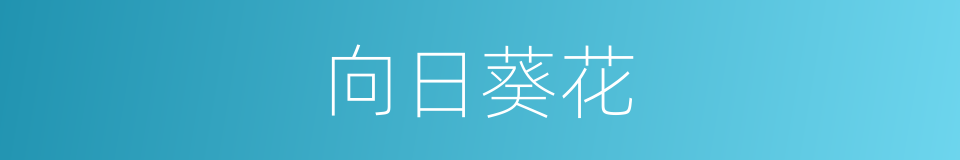 向日葵花的同义词