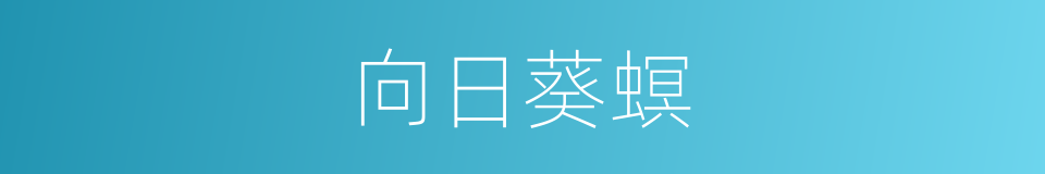 向日葵螟的同义词