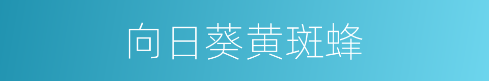 向日葵黄斑蜂的同义词