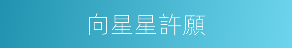 向星星許願的同義詞