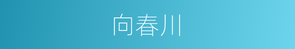 向春川的同义词