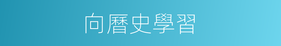 向曆史學習的同義詞