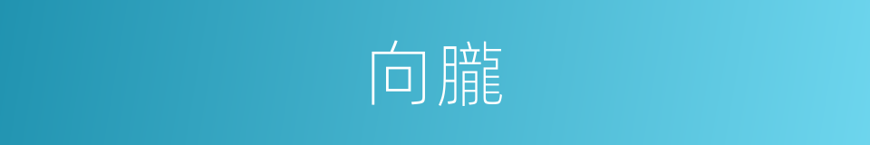 向朧的同義詞