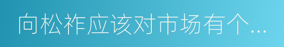 向松祚应该对市场有个真实的说法的同义词