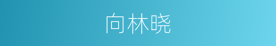 向林晓的同义词