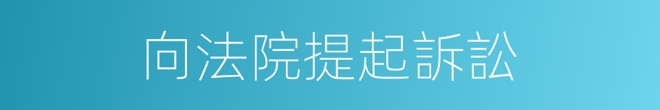 向法院提起訴訟的同義詞