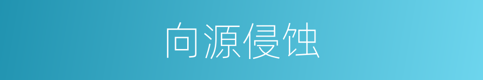 向源侵蚀的同义词