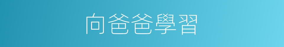 向爸爸學習的同義詞