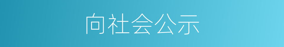 向社会公示的同义词