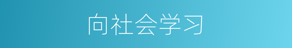 向社会学习的同义词