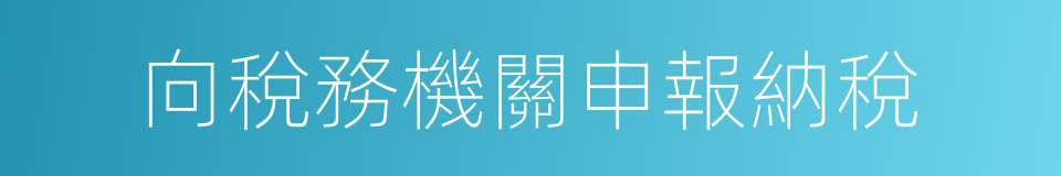 向稅務機關申報納稅的同義詞