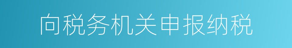 向税务机关申报纳税的同义词