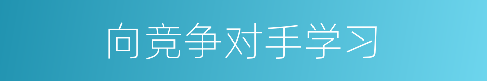 向竞争对手学习的同义词