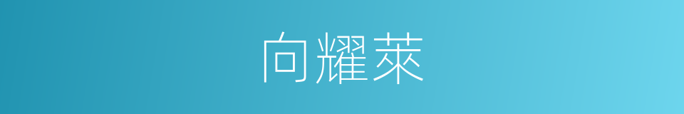 向耀萊的同義詞