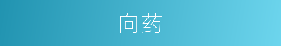 向药的同义词
