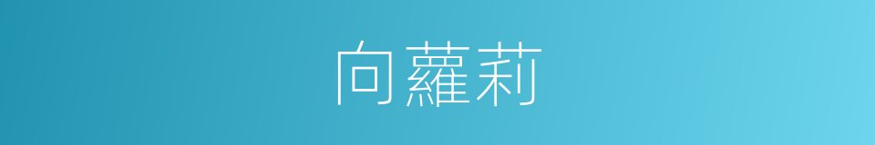 向蘿莉的同義詞