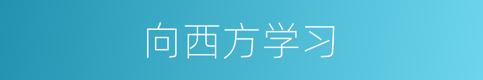 向西方学习的同义词