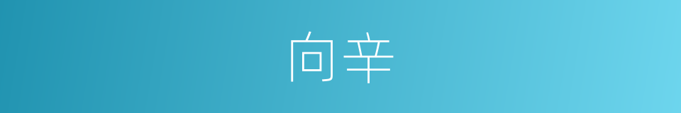 向辛的同义词