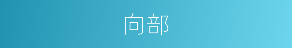 向部的同义词