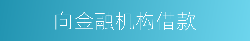 向金融机构借款的同义词