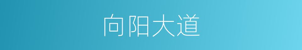 向阳大道的同义词