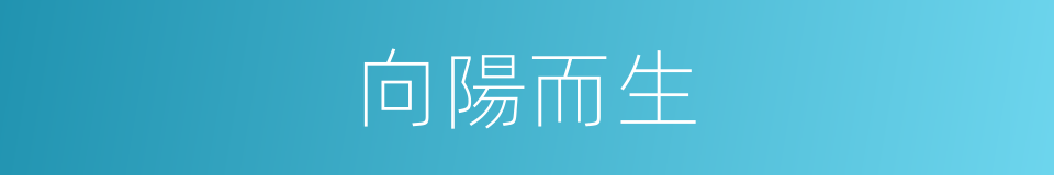 向陽而生的意思