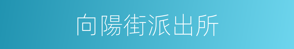 向陽街派出所的同義詞