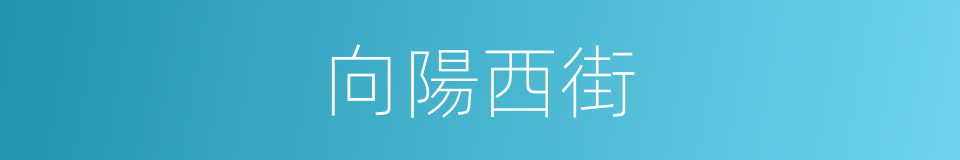 向陽西街的同義詞