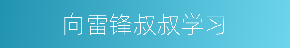 向雷锋叔叔学习的同义词