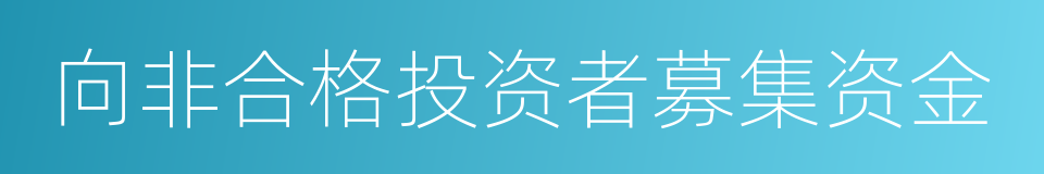 向非合格投资者募集资金的同义词