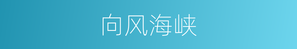 向风海峡的同义词