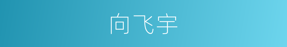 向飞宇的同义词