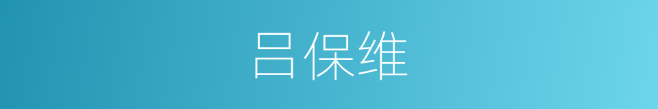 吕保维的同义词