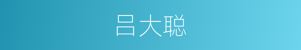 吕大聪的同义词