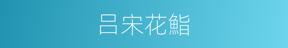 吕宋花鮨的同义词