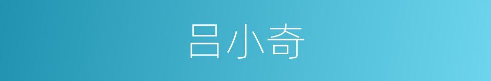 吕小奇的意思