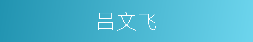 吕文飞的同义词