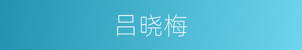 吕晓梅的同义词