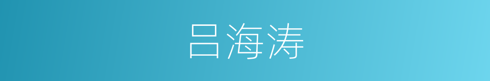 吕海涛的同义词