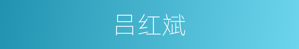 吕红斌的同义词