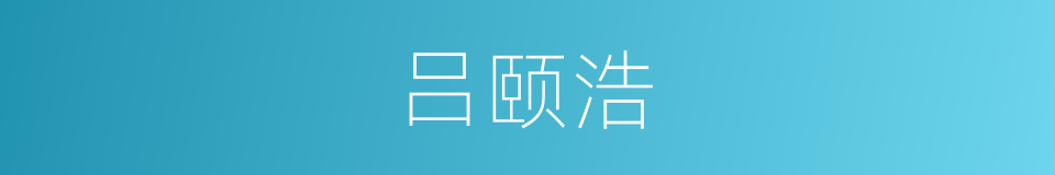 吕颐浩的同义词