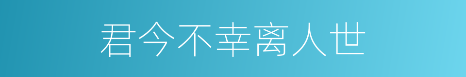 君今不幸离人世的同义词