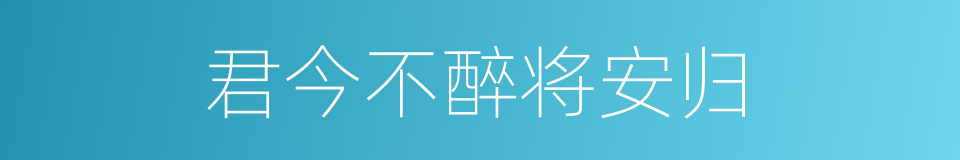 君今不醉将安归的同义词