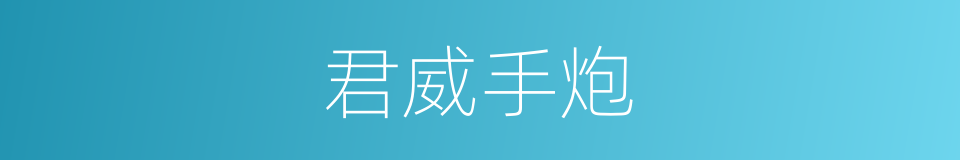 君威手炮的同义词