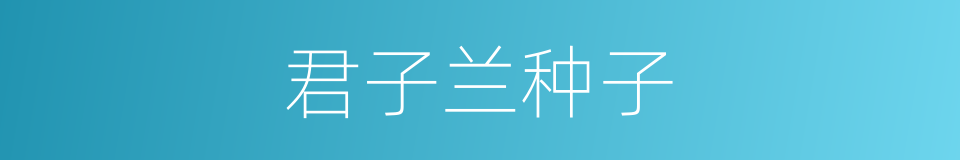 君子兰种子的同义词