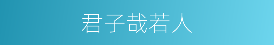 君子哉若人的同义词