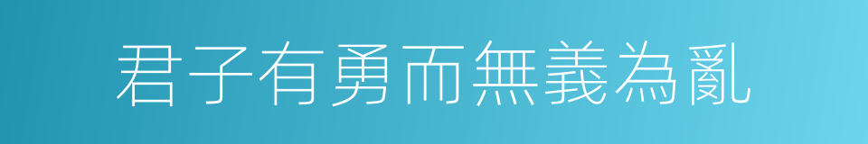 君子有勇而無義為亂的同義詞